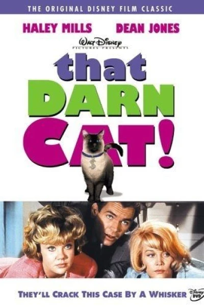 That Darn Cat!