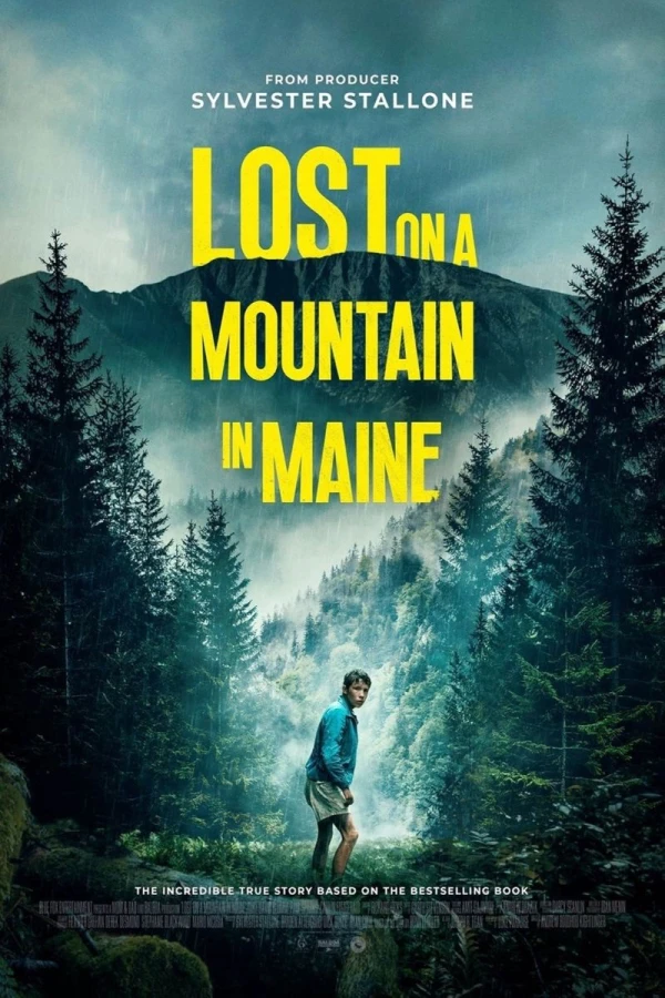 Lost on A Mountain in Maine Poster