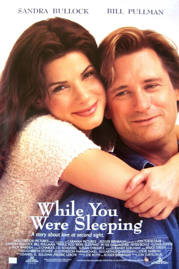 While You Were Sleeping Poster