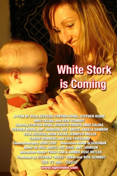 White Stork Is Coming