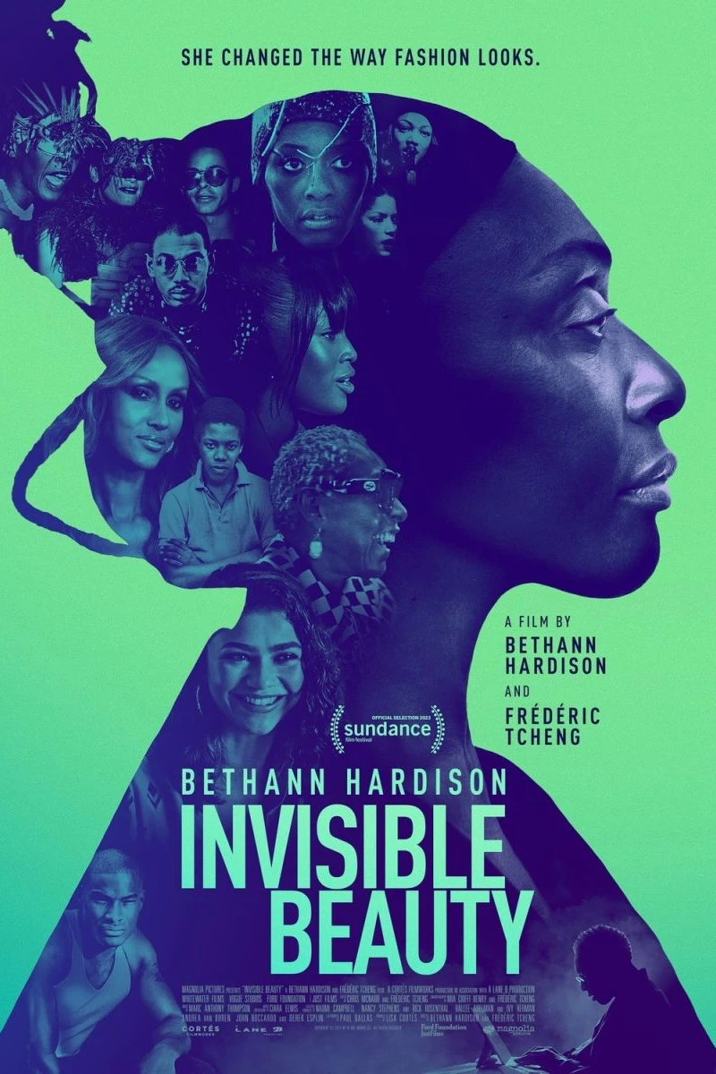 Invisible Beauty Poster