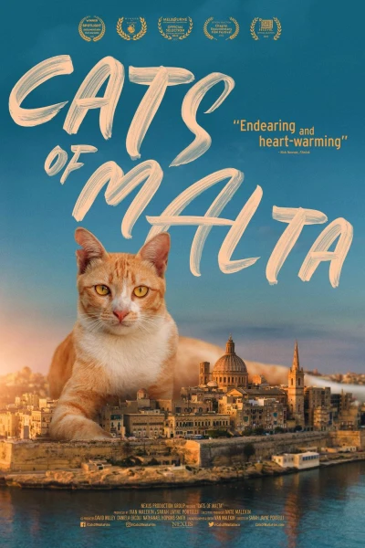 Cats of Malta