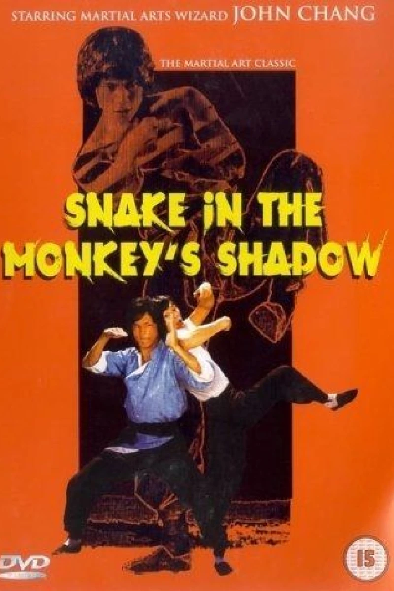 Snake Fist vs. the Dragon Poster