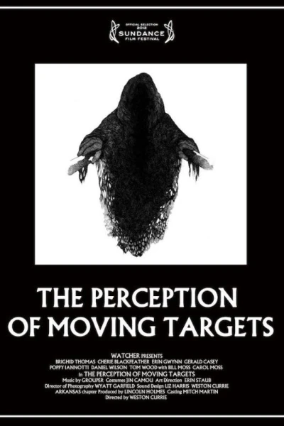 The Perception of Moving Targets