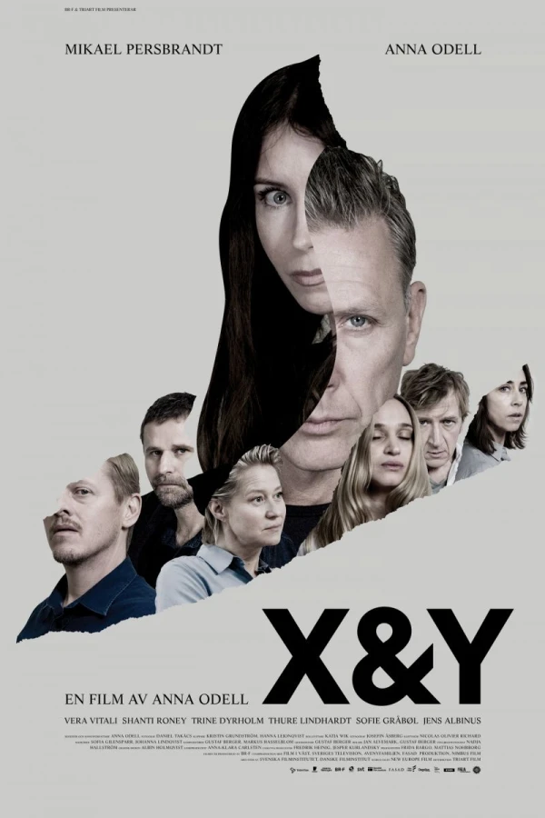 X Y Poster