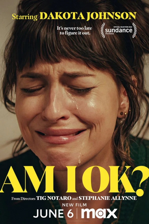 Am I Okay? Poster