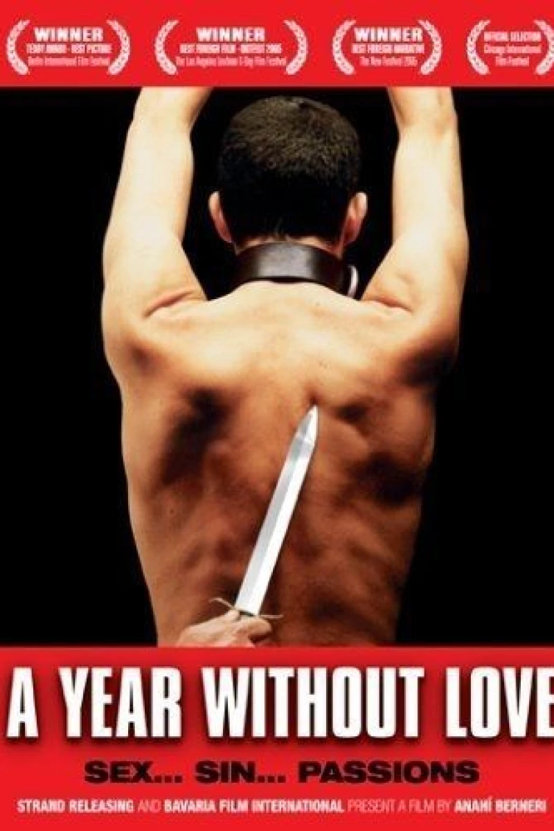 A Year Without Love Poster