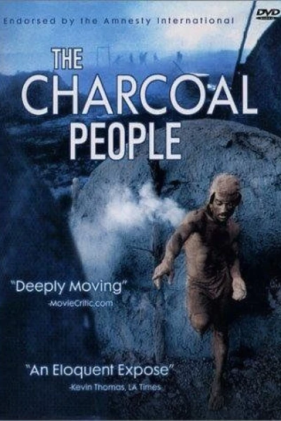The Charcoal People of Brazil