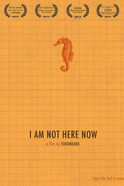 I Am Not Here Now