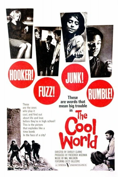 The Cool World