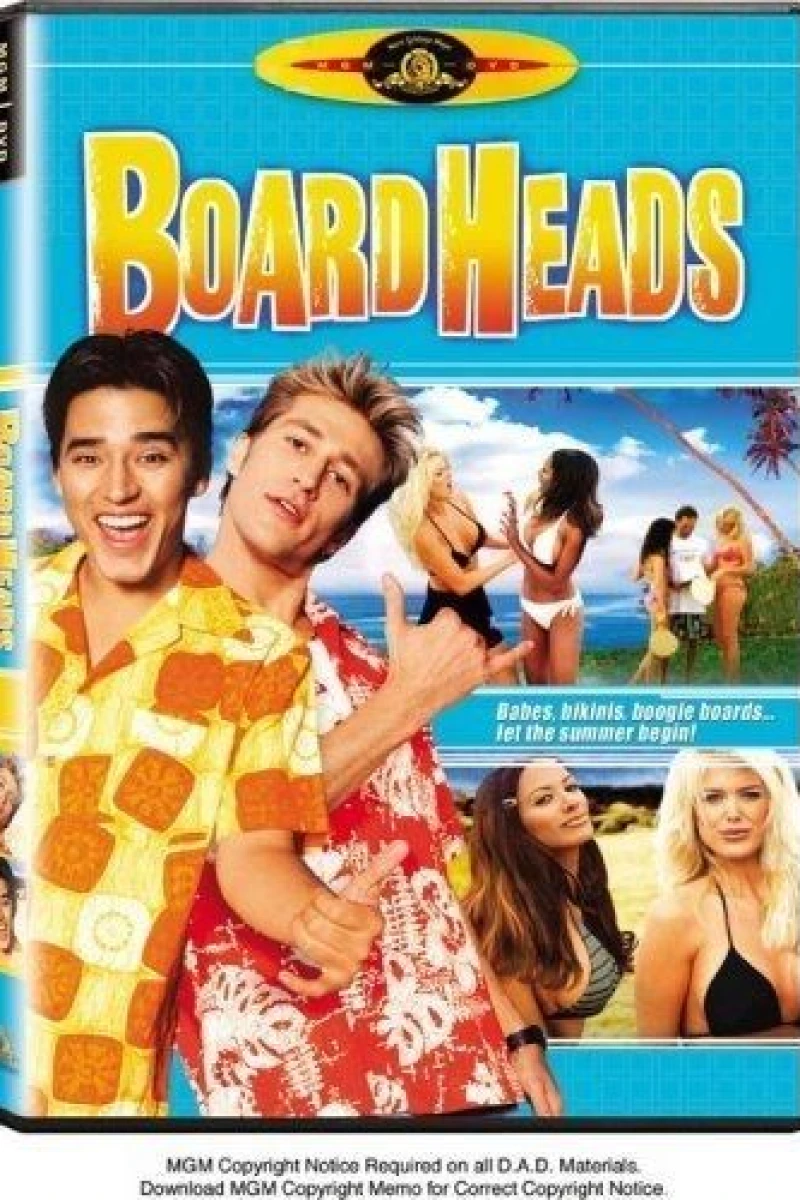 Boardheads Poster