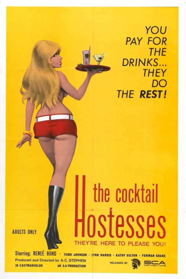 Intimate Confessions of the Cocktail Hostesses Poster