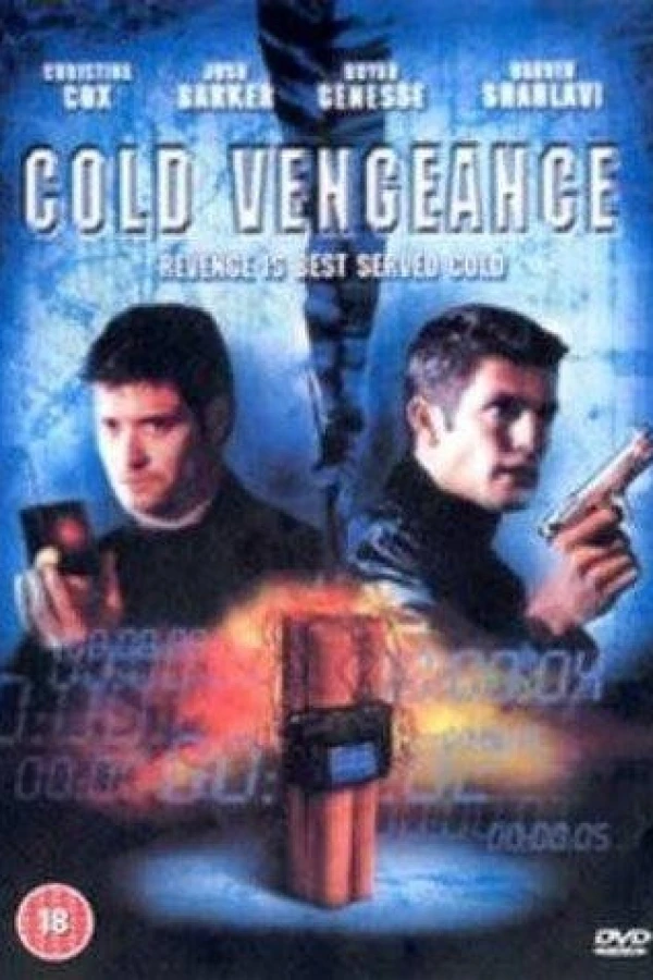 Cold Vengeance Poster