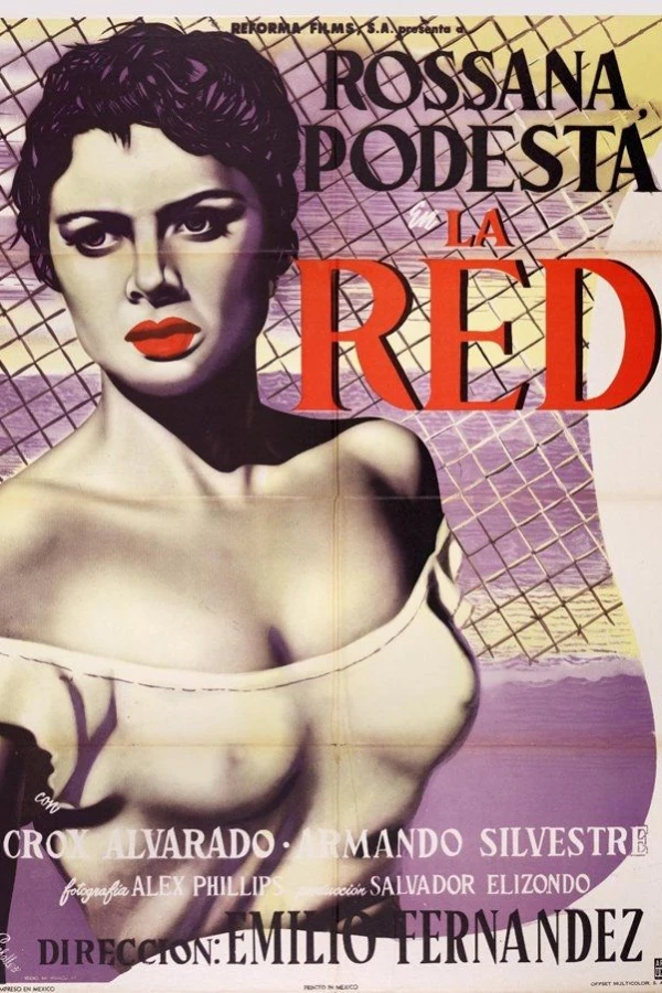 The Net Poster