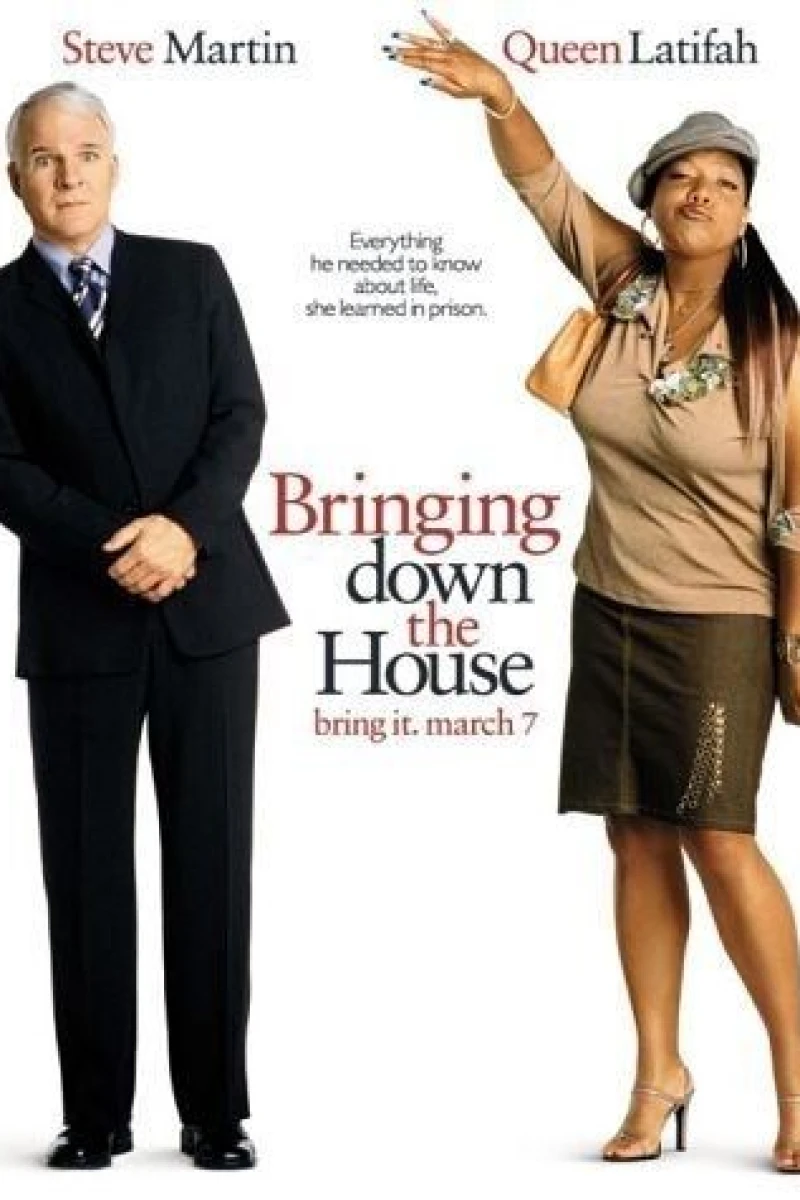 Bringing Down the House Poster