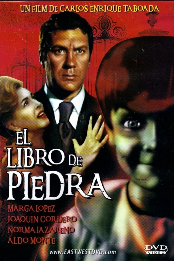 El libro de piedra Poster