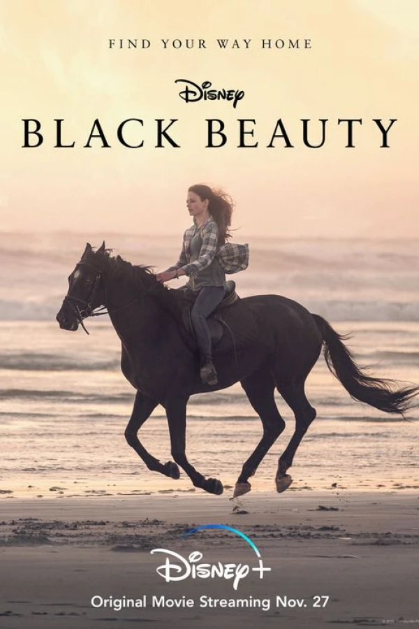 Black Beauty Poster
