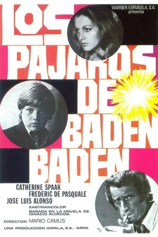 Los pájaros de Baden-Baden Poster