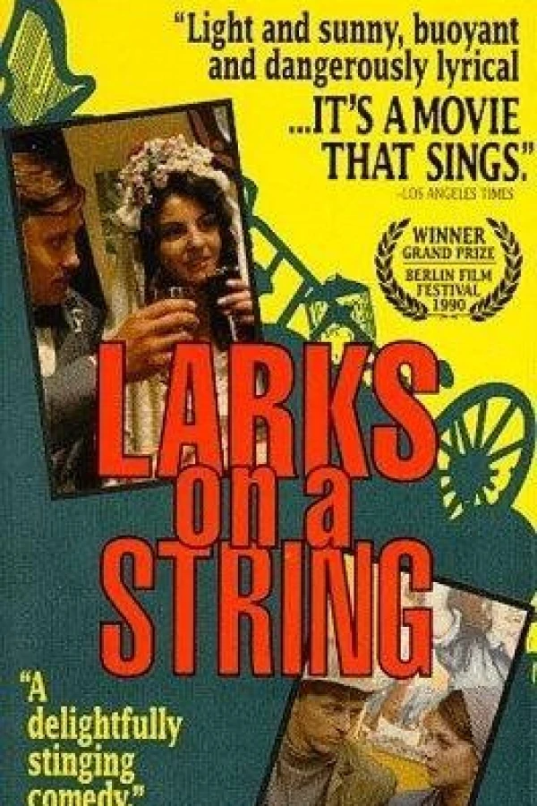 Larks on a String Poster