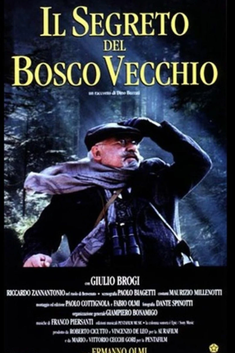 Il segreto del bosco vecchio Poster