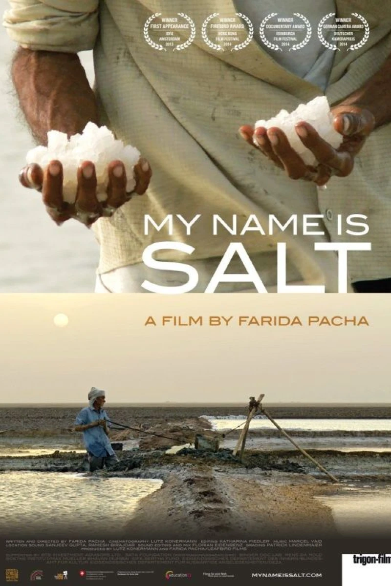 My Name Is Salt Poster