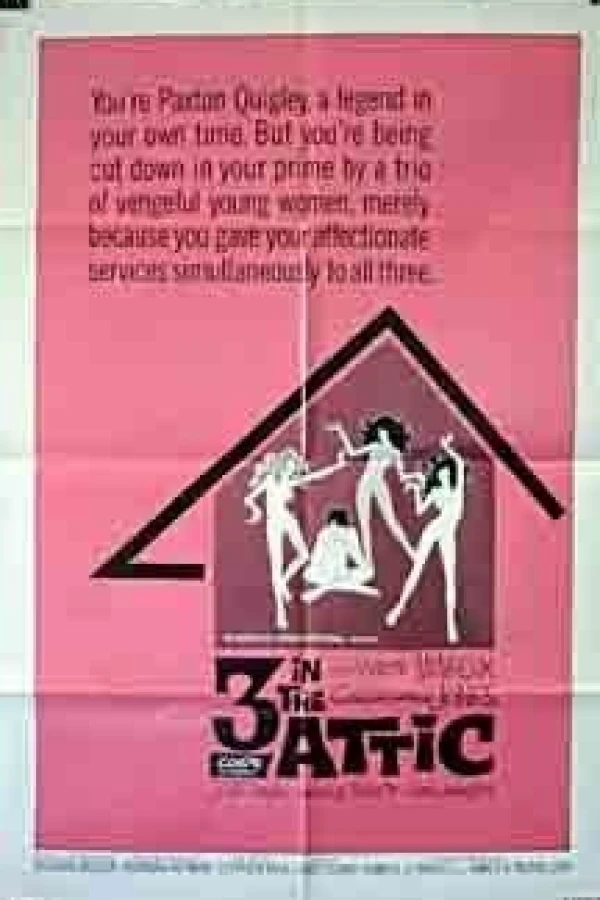 3 in the Attic Poster