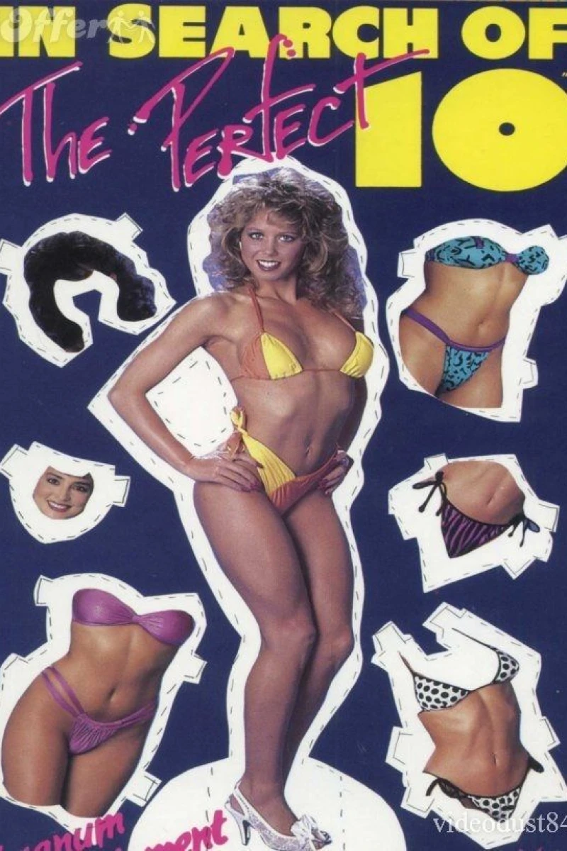 In Search of the Perfect 10 Poster