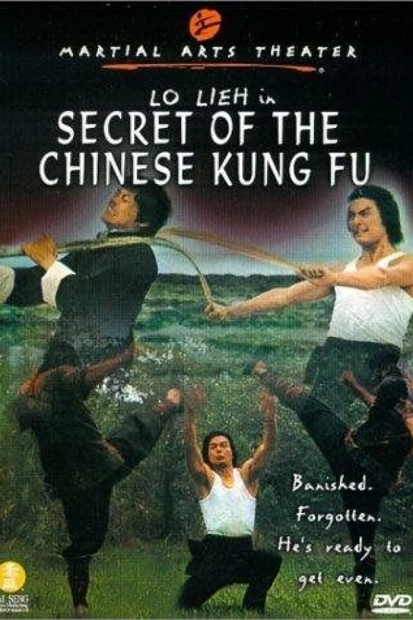 Secret of Chinese Kung Fu Poster