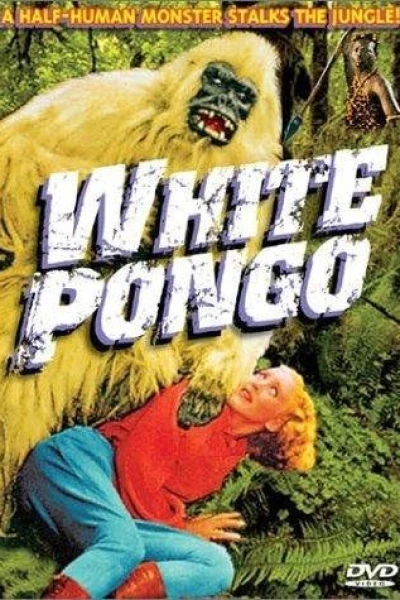 White Pongo