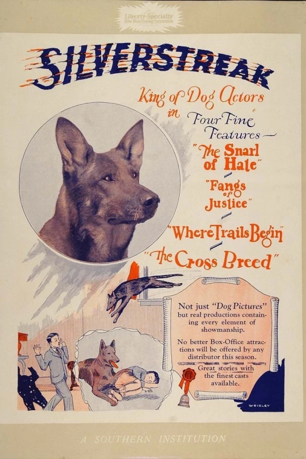 Cross Breed Poster