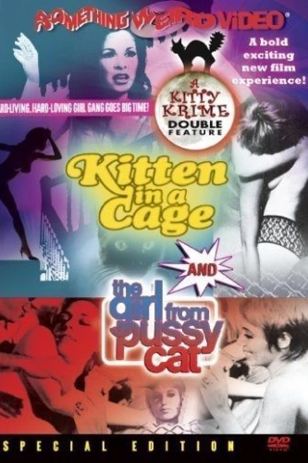 Kitten in the Cage Poster