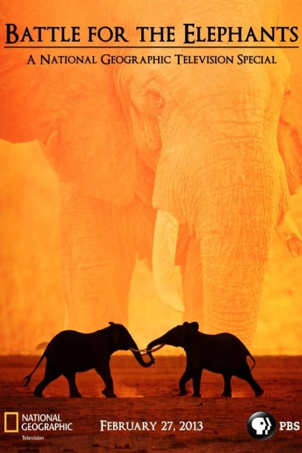 Battle for the Elephants Poster