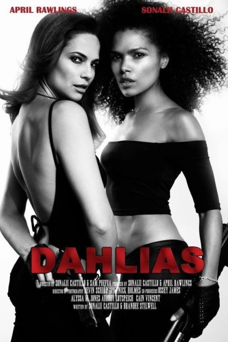 Dahlias: Wild Card Poster