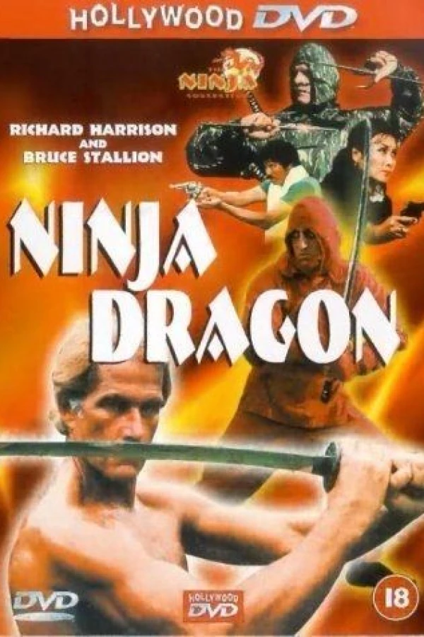Ninja Dragon Poster