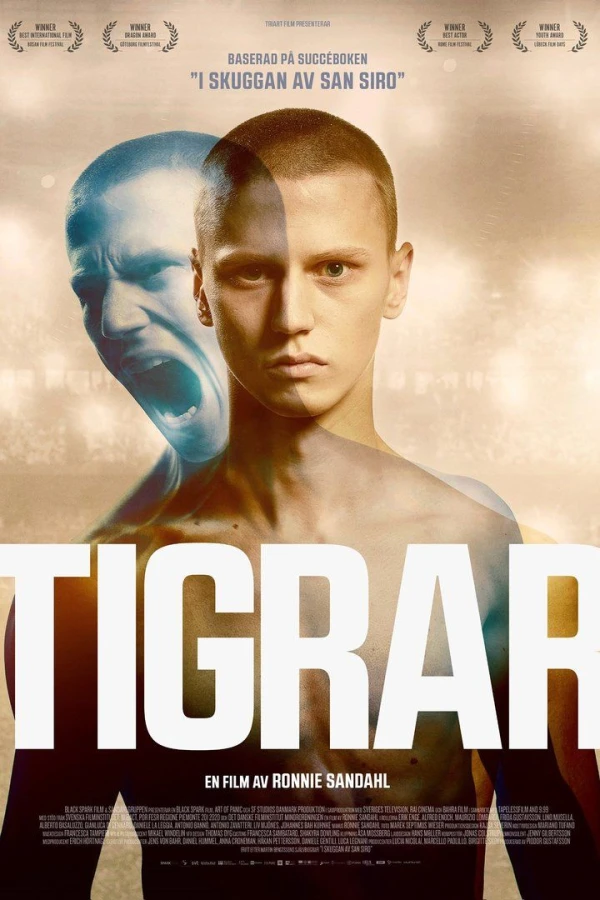 Tigrar Poster