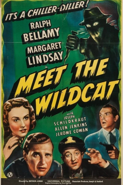 Meet the Wildcat