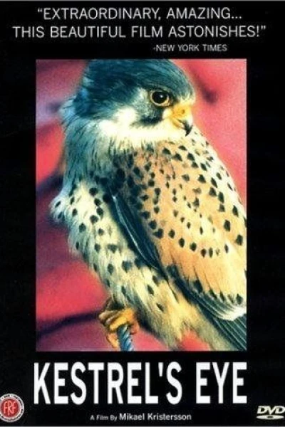 Kestrel's Eye