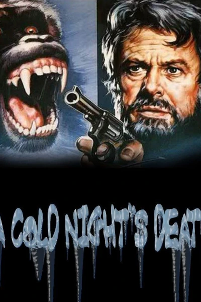 A Cold Night's Death