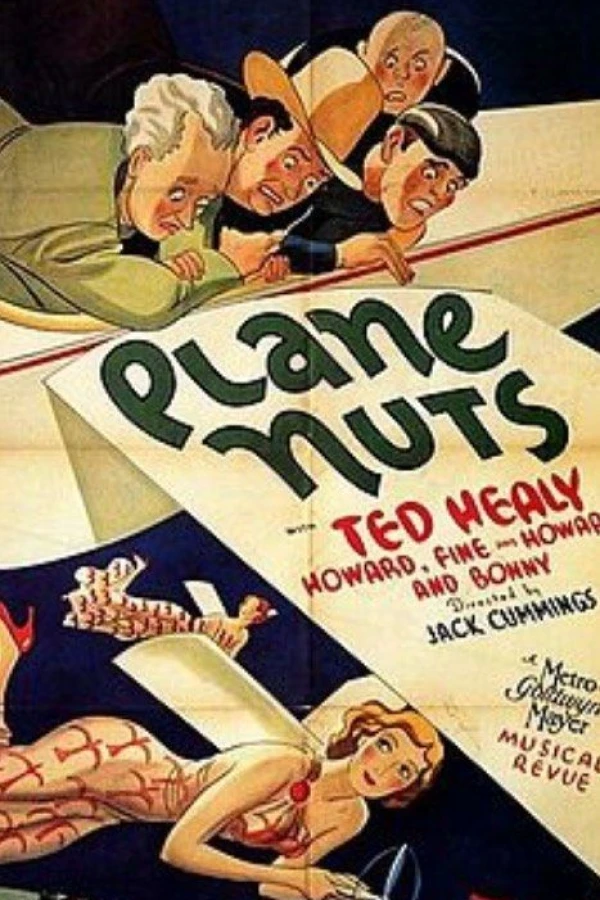 Plane Nuts Poster