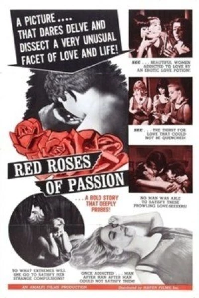 Red Roses of Passion