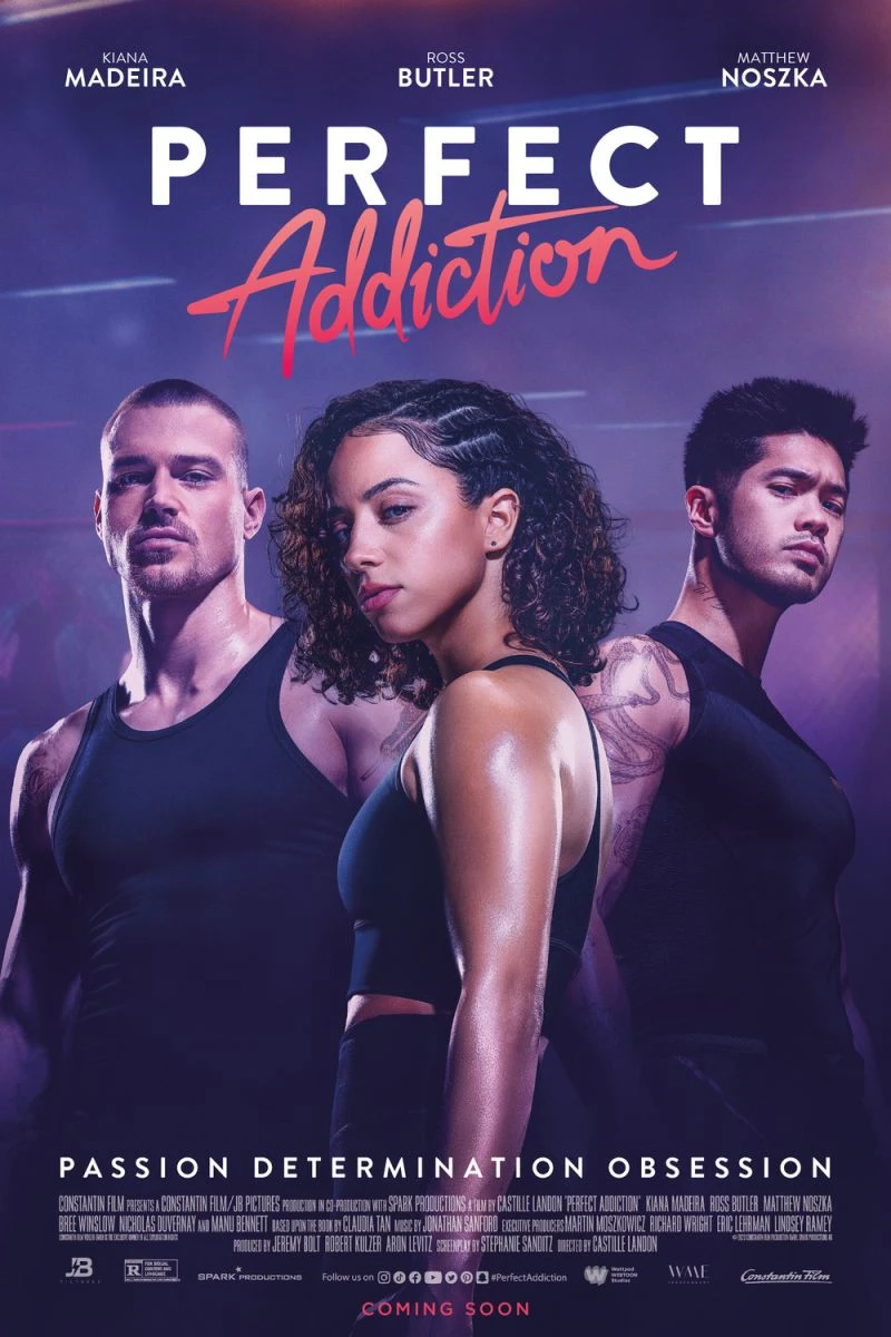 Perfect Addiction Poster