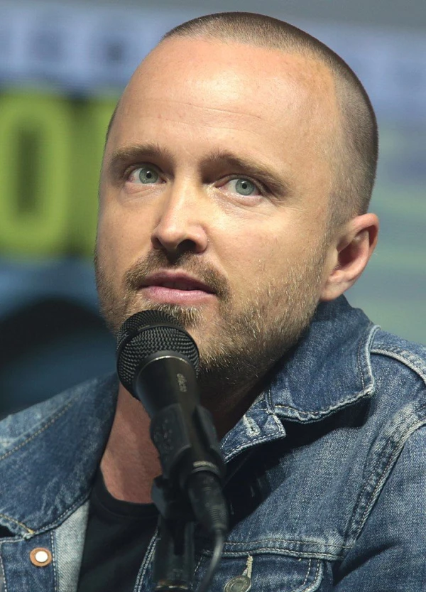 <strong>Aaron Paul</strong>. Image by Gage Skidmore.
