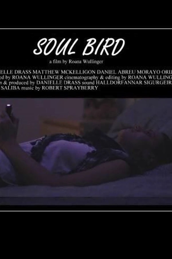 Soul Bird Poster