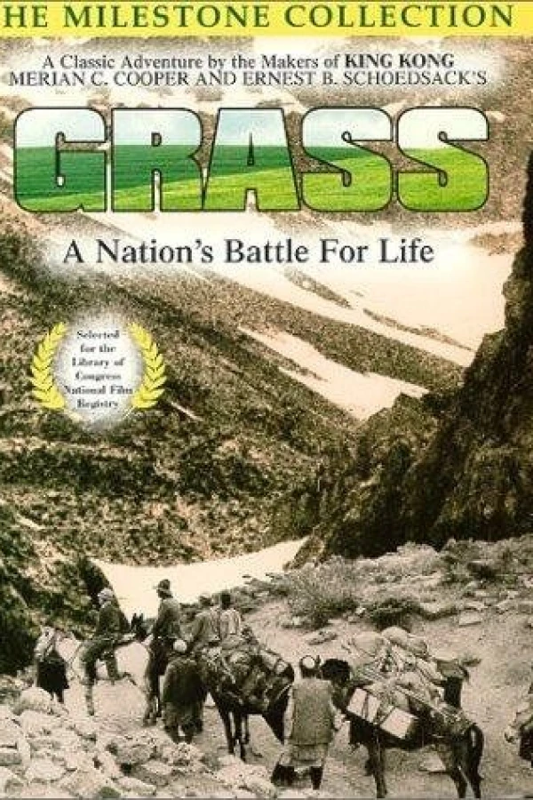 Grass Poster