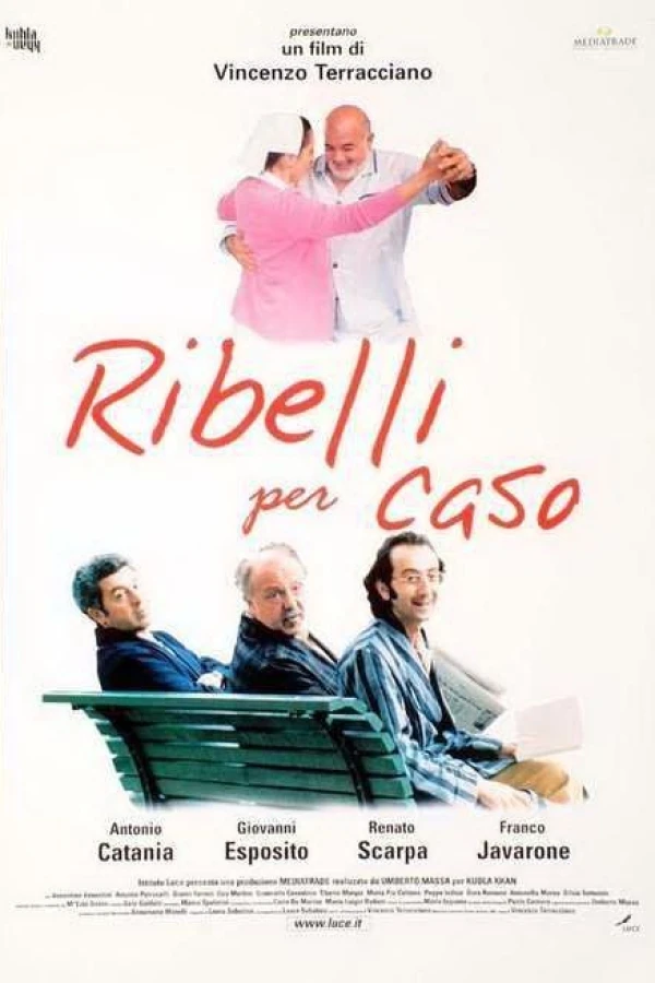 Ribelli per caso Poster