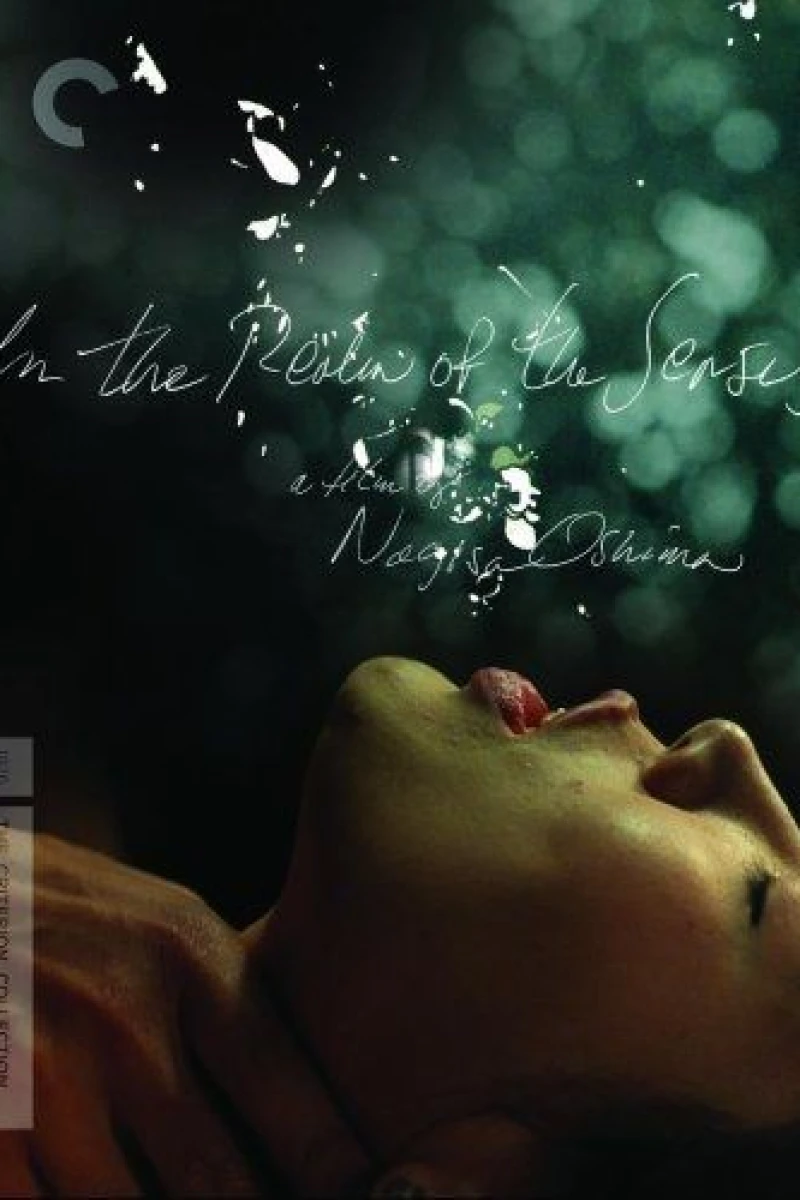 In the Realm of the Senses Poster