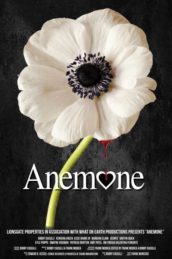 Anemone Poster