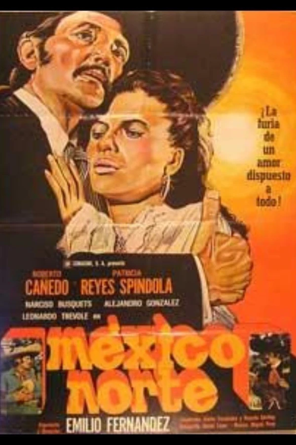 México Norte Poster