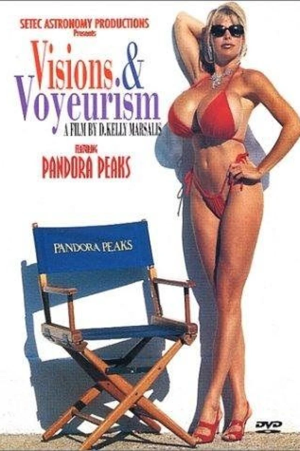 Visions and Voyeurism Poster
