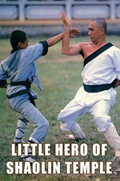 Little Ninja Heroes
